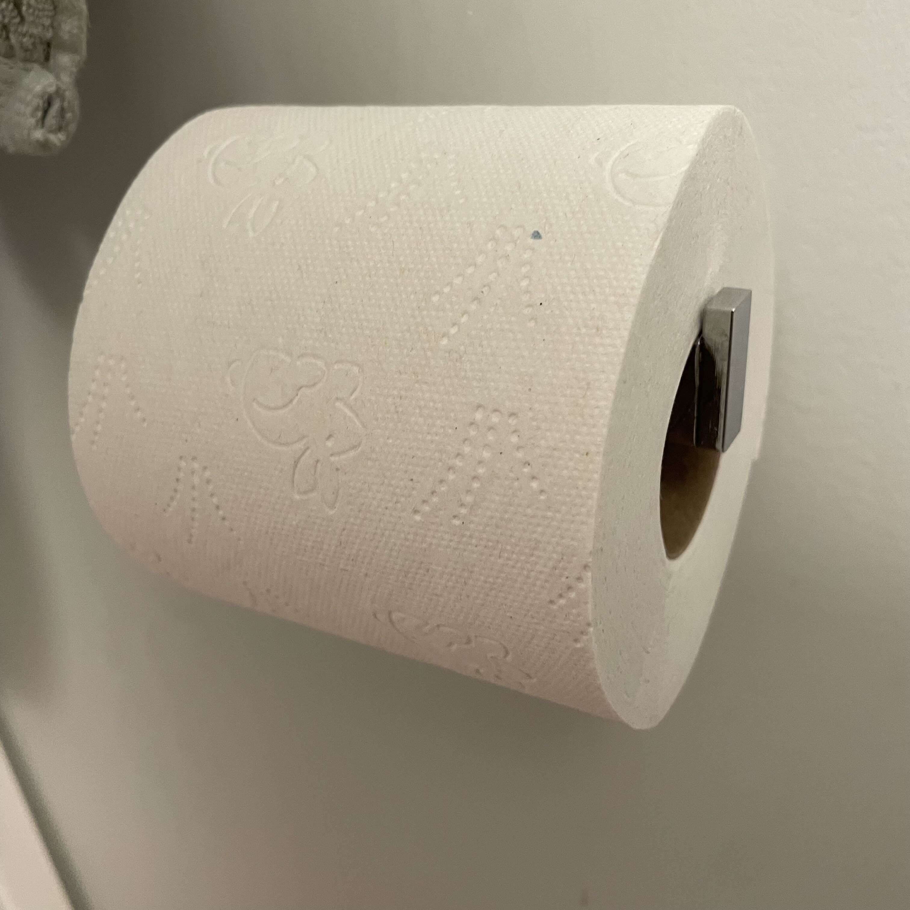The toilet paper